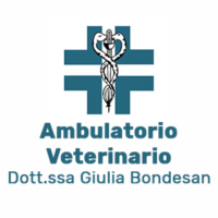 Ambulatorio Veterinario Bondesan